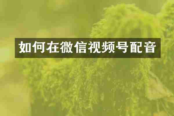 如何在微信视频号配音