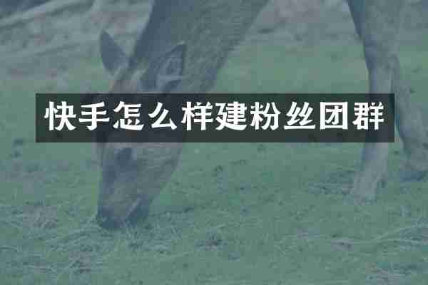快手怎么样建粉丝团群