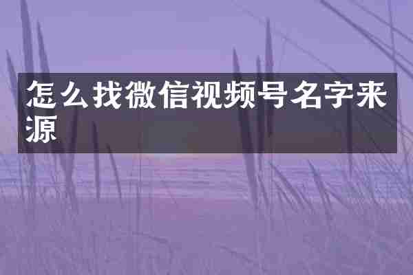 怎么找微信视频号名字来源