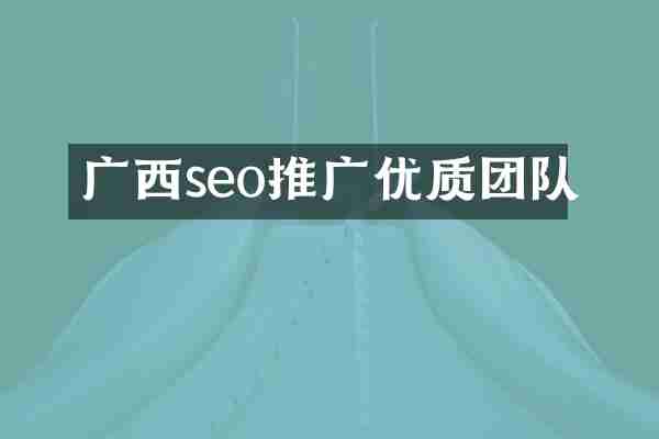 广西seo推广优质团队