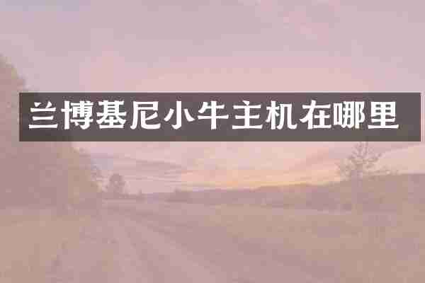 兰博基尼小牛主机在哪里