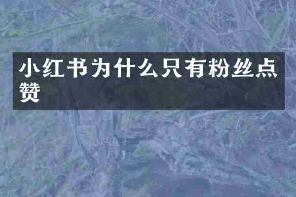 小红书为什么只有粉丝点赞