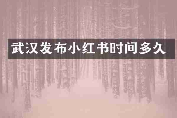 武汉发布小红书时间多久