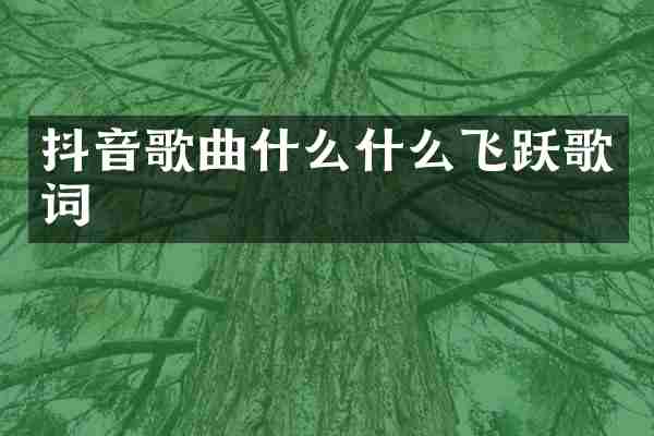 抖音歌曲什么什么飞跃歌词