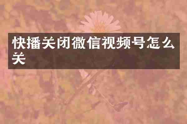快播关闭微信视频号怎么关
