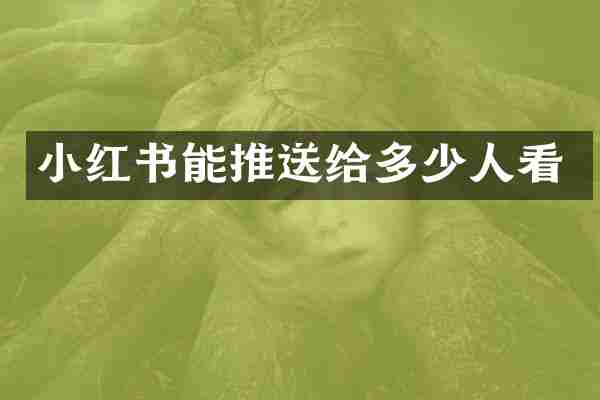 小红书能推送给多少人看