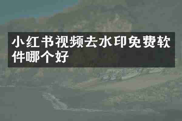 小红书视频去水印免费软件哪个好