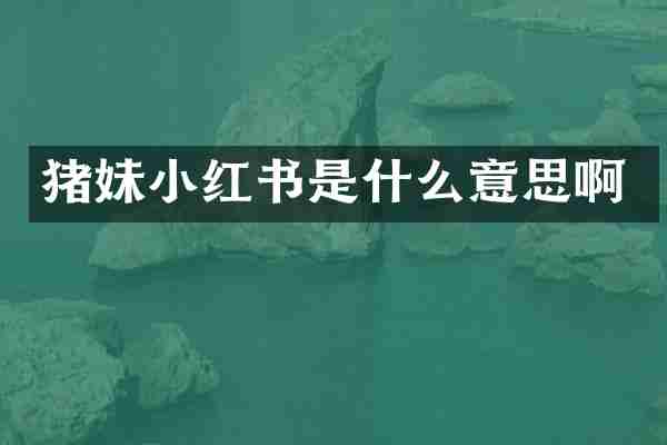 猪妹小红书是什么意思啊
