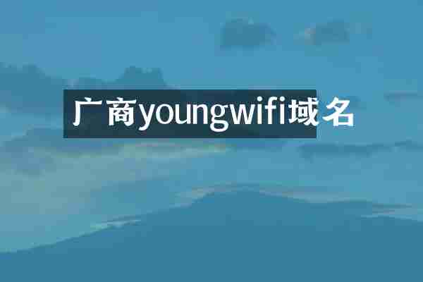 广商youngwifi域名