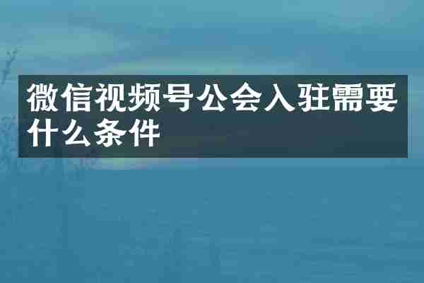 微信视频号公会入驻需要什么条件