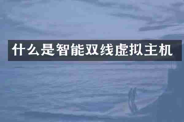 什么是智能双线虚拟主机