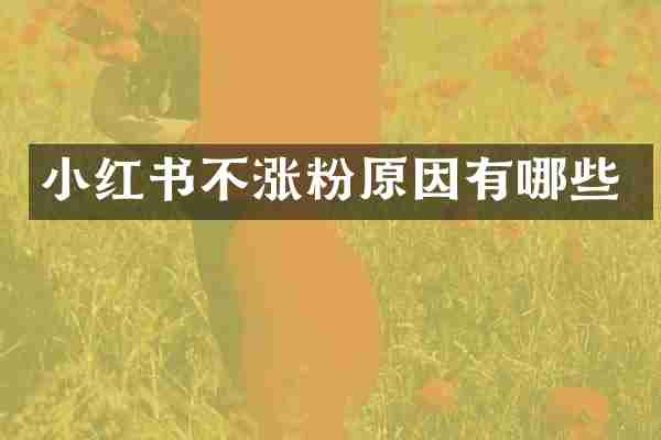 小红书不涨粉原因有哪些
