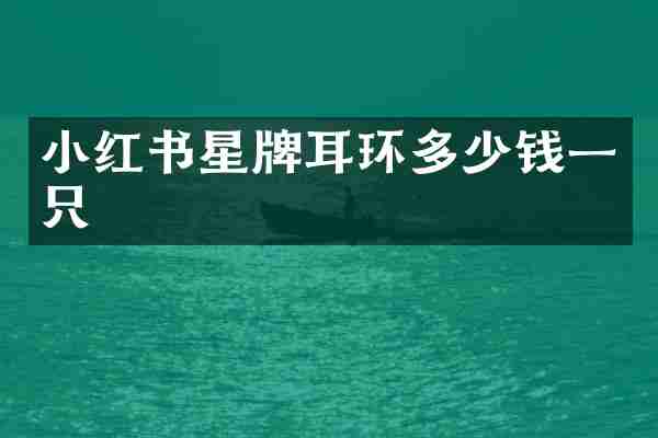 小红书星牌耳环多少钱一只