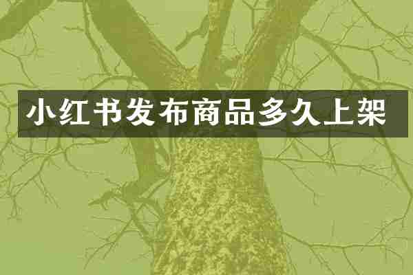 小红书发布商品多久上架