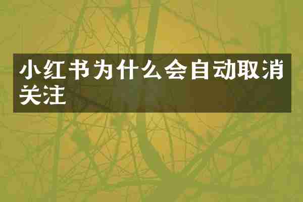 小红书为什么会自动取消关注
