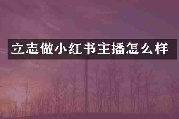 立志做小红书主播怎么样
