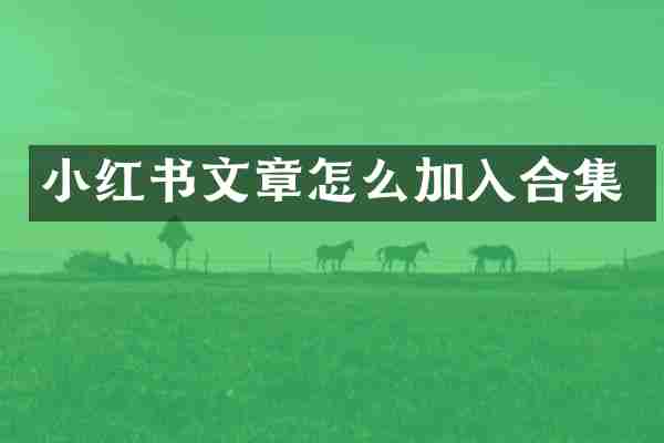小红书文章怎么加入合集