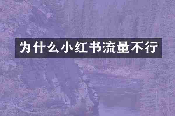 为什么小红书流量不行