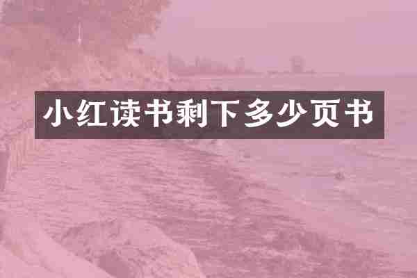 小红读书剩下多少页书