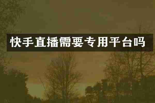 快手直播需要专用平台吗