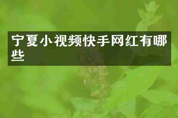 宁夏小视频快手网红有哪些