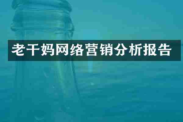 老干妈网络营销分析报告