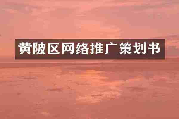 黄陂区网络推广策划书