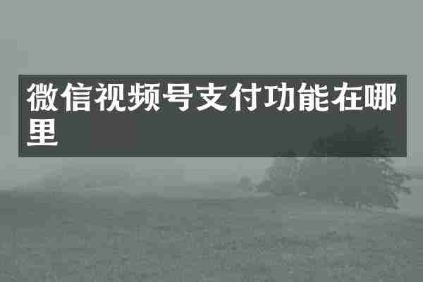 微信视频号支付功能在哪里