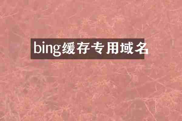 bing缓存专用域名
