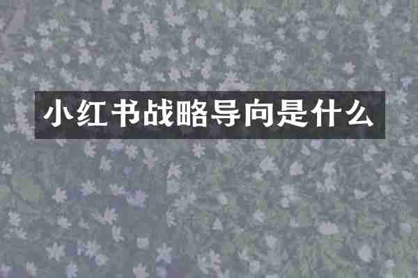 小红书战略导向是什么