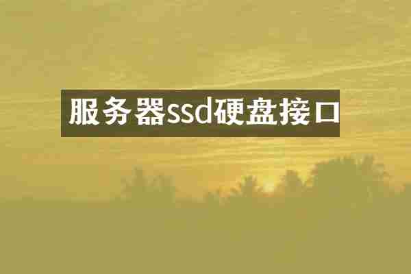 服务器ssd硬盘接口