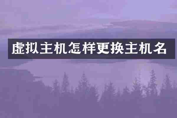 虚拟主机怎样更换主机名