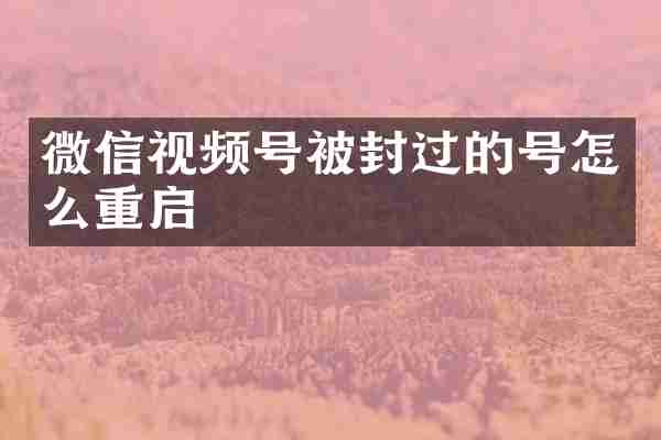 微信视频号被封过的号怎么重启