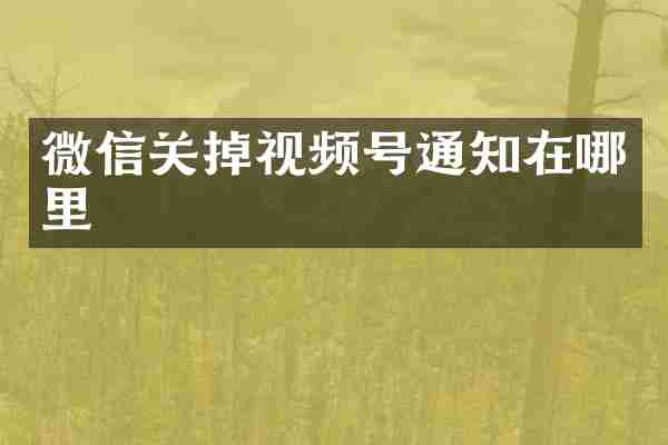 微信关掉视频号通知在哪里