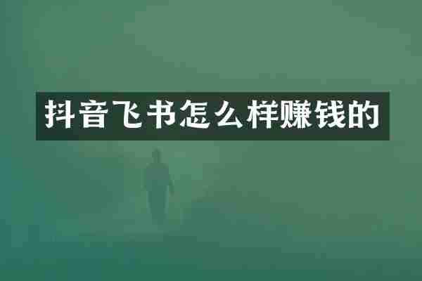 抖音飞书怎么样赚钱的