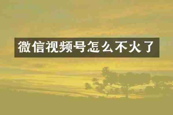 微信视频号怎么不火了