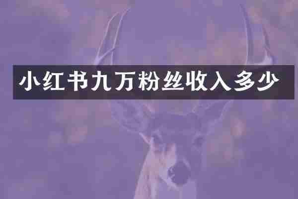 小红书九万粉丝收入多少