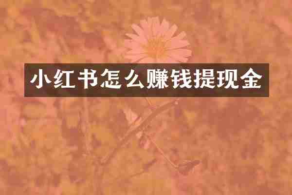 小红书怎么赚钱提现金