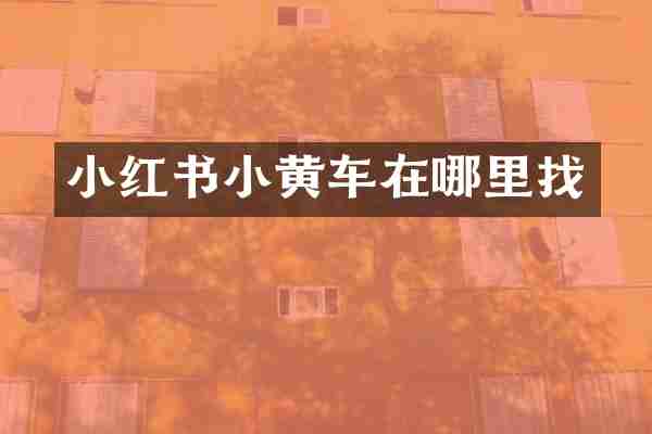 小红书小黄车在哪里找