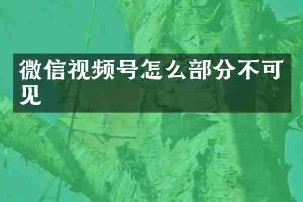 微信视频号怎么部分不可见
