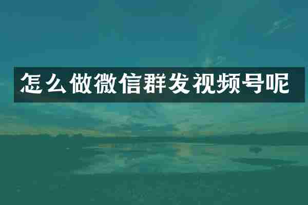 怎么做微信群发视频号呢