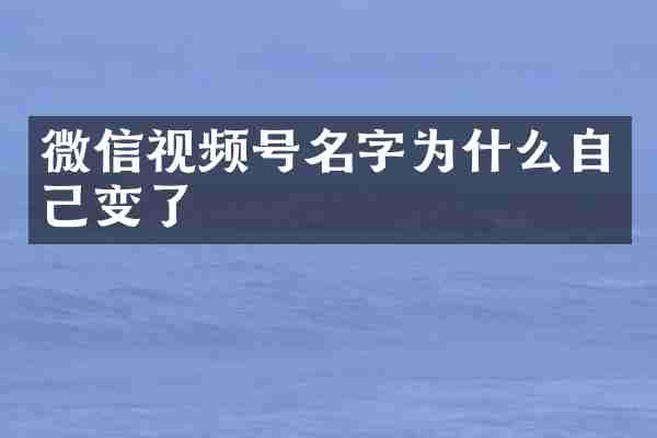微信视频号名字为什么自己变了