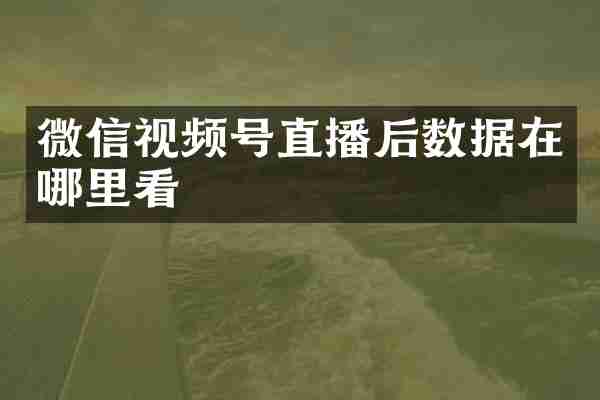 微信视频号直播后数据在哪里看