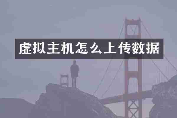虚拟主机怎么上传数据