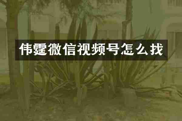 伟霆微信视频号怎么找