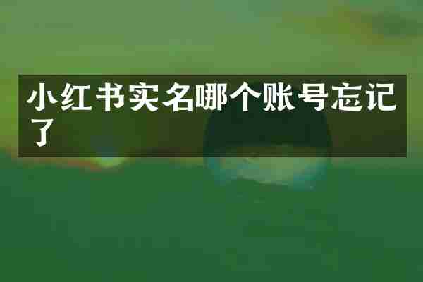 小红书实名哪个账号忘记了