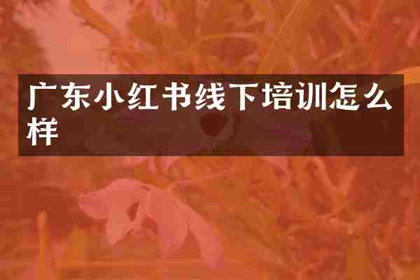 广东小红书线下培训怎么样