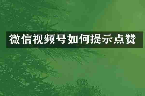 微信视频号如何提示点赞
