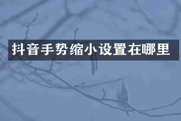 抖音手势缩小设置在哪里