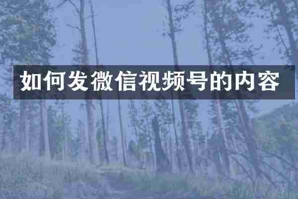 如何发微信视频号的内容